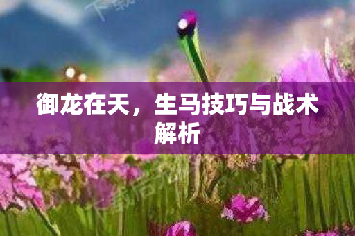 御龙在天，生马技巧与战术解析