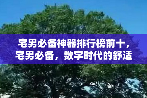宅男必备神器排行榜前十，宅男必备，数字时代的舒适生活指南