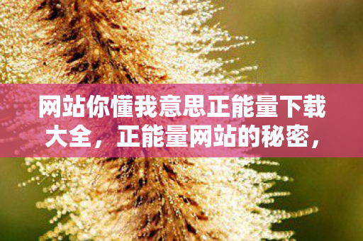 网站你懂我意思正能量下载大全，正能量网站的秘密，免费观看与下载的正确姿势