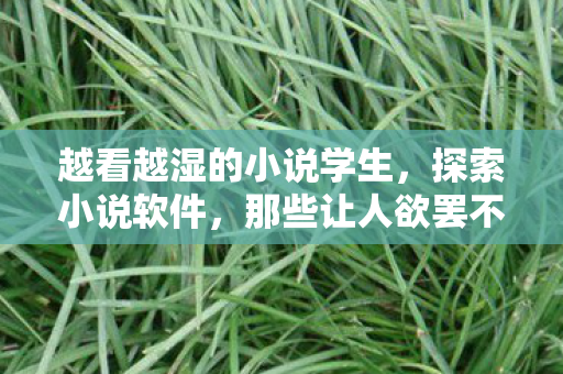 越看越湿的小说学生，探索小说软件，那些让人欲罢不能的啪啪故事