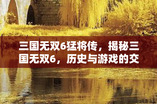 三国无双6猛将传，揭秘三国无双6，历史与游戏的交融之美