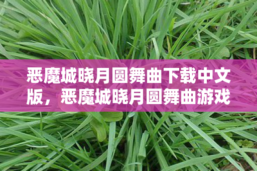 恶魔城晓月圆舞曲下载中文版，恶魔城晓月圆舞曲游戏下载指南
