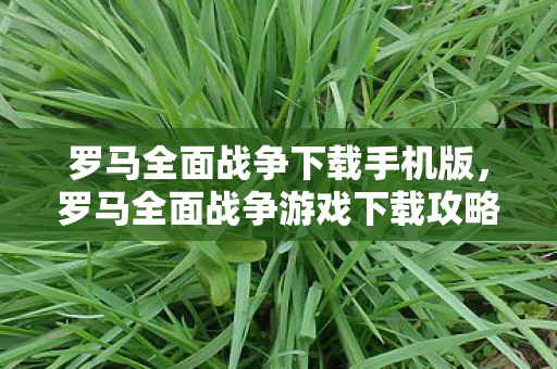 罗马全面战争下载手机版，罗马全面战争游戏下载攻略