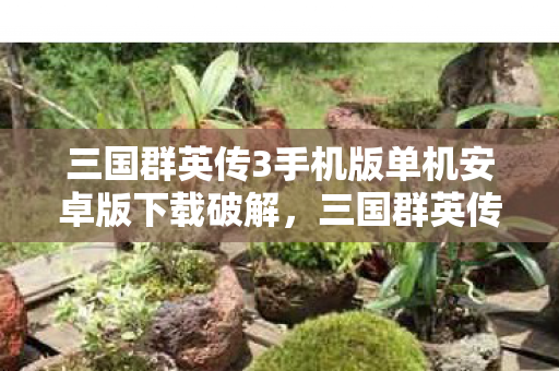 三国群英传3手机版单机安卓版下载破解，三国群英传3手机版单机安卓版下载攻略及游戏详解