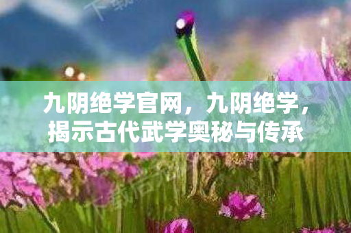 九阴绝学官网，九阴绝学，揭示古代武学奥秘与传承