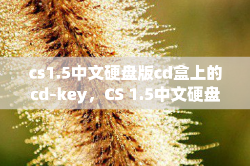 cs1.5中文硬盘版cd盒上的cd-key，CS 1.5中文硬盘版，回顾经典，探索游戏深层次魅力