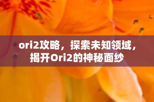 ori2攻略，探索未知领域，揭开Ori2的神秘面纱