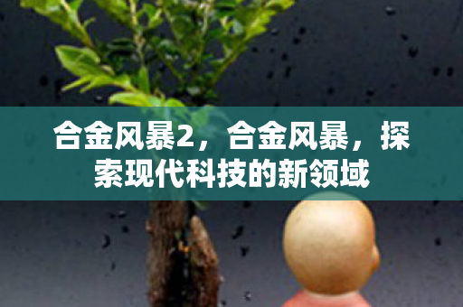 合金风暴2，合金风暴，探索现代科技的新领域