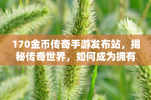 170金币传奇手游发布站，揭秘传奇世界，如何成为拥有1.7万金币的传奇人物？