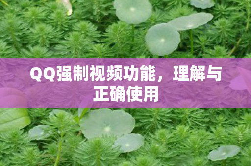 QQ强制视频功能，理解与正确使用