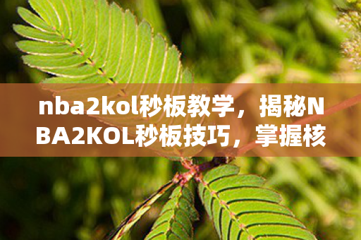nba2kol秒板教学，揭秘NBA2KOL秒板技巧，掌握核心操作，轻松提升游戏水平！