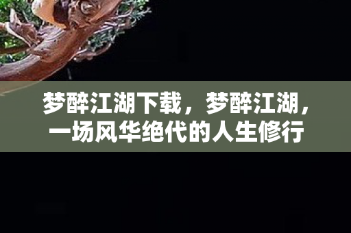 梦醉江湖下载，梦醉江湖，一场风华绝代的人生修行