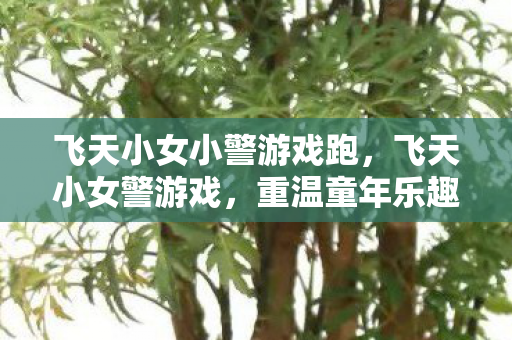 飞天小女小警游戏跑，飞天小女警游戏，重温童年乐趣的无尽冒险之旅