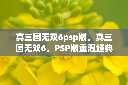 真三国无双6psp版，真三国无双6，PSP版重温经典的游戏体验