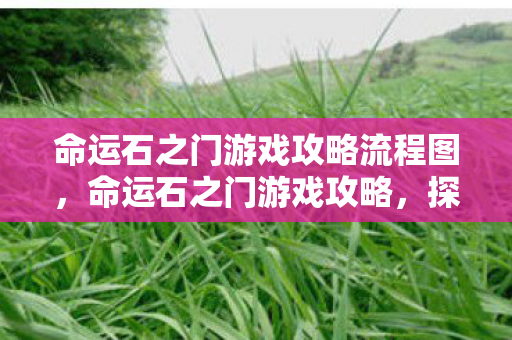 命运石之门游戏攻略流程图，命运石之门游戏攻略，探索时空之旅的秘诀