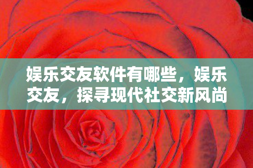 娱乐交友软件有哪些，娱乐交友，探寻现代社交新风尚