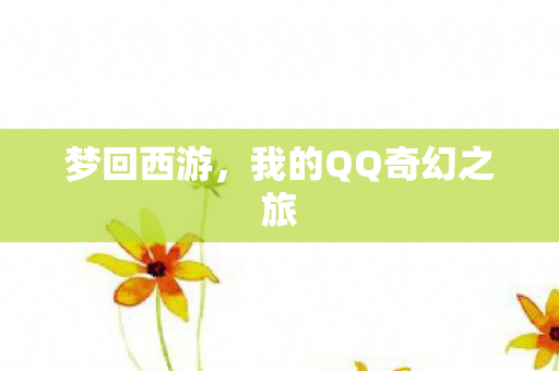 梦回西游，我的QQ奇幻之旅