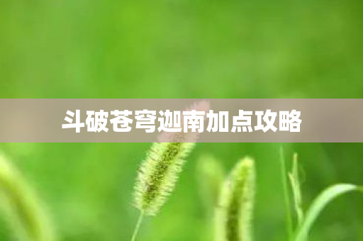 斗破苍穹迦南加点攻略