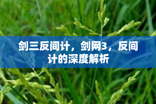 剑三反间计，剑网3，反间计的深度解析