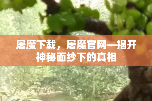 屠魔下载，屠魔官网—揭开神秘面纱下的真相