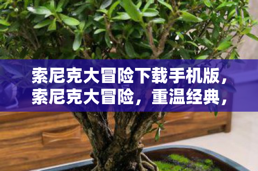 索尼克大冒险下载手机版，索尼克大冒险，重温经典，探索未知的世界