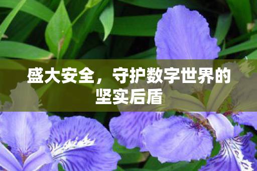 盛大安全，守护数字世界的坚实后盾