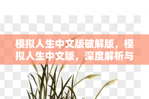 模拟人生中文版破解版，模拟人生中文版，深度解析与体验分享