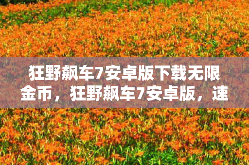狂野飙车7安卓版下载无限金币，狂野飙车7安卓版，速度与激情的完美融合