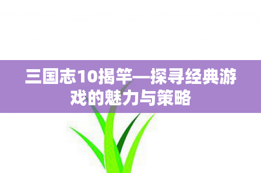三国志10揭竿—探寻经典游戏的魅力与策略