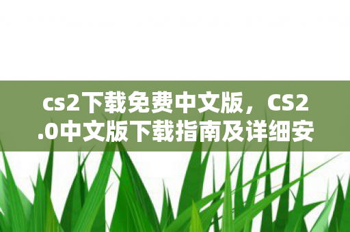 cs2下载免费中文版，CS2.0中文版下载指南及详细安装教程