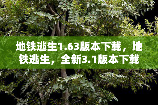地铁逃生1.63版本下载，地铁逃生，全新3.1版本下载安装攻略