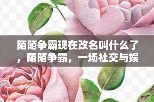 陌陌争霸现在改名叫什么了，陌陌争霸，一场社交与娱乐的较量