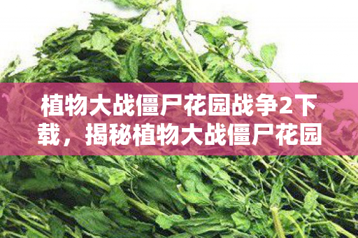 植物大战僵尸花园战争2下载，揭秘植物大战僵尸花园战争2，一场绿色与机械的革命之战