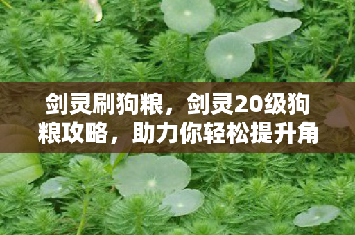 剑灵刷狗粮，剑灵20级狗粮攻略，助力你轻松提升角色实力