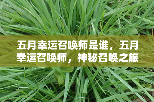 五月幸运召唤师是谁，五月幸运召唤师，神秘召唤之旅的启示