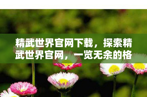 精武世界官网下载，探索精武世界官网，一览无余的格斗盛宴