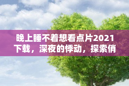 晚上睡不着想看点片2021下载，深夜的悸动，探索俏佳人片软件的魅力与影响