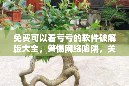 免费可以看亏亏的软件破解版大全，警惕网络陷阱，关于免费观看亏亏软件破解版的真相揭示