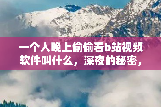 一个人晚上偷偷看b站视频软件叫什么，深夜的秘密，一个人独自品味B站视频的世界