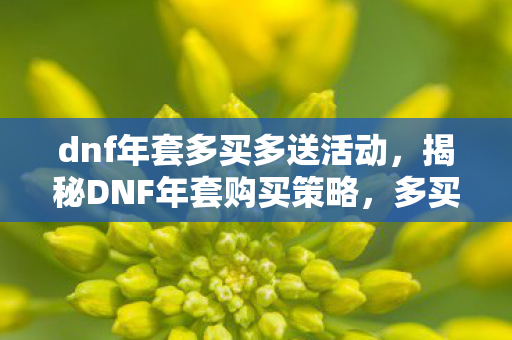 dnf年套多买多送活动，揭秘DNF年套购买策略，多买多送背后的秘密与选择之道