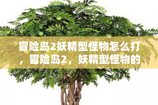 冒险岛2妖精型怪物怎么打，冒险岛2，妖精型怪物的神秘世界