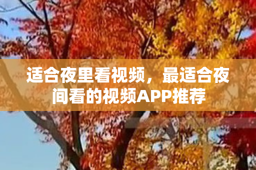 适合夜里看视频，最适合夜间看的视频APP推荐