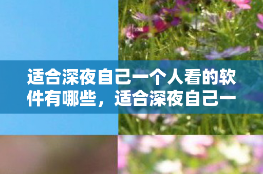 适合深夜自己一个人看的软件有哪些，适合深夜自己一个人看的软件推荐