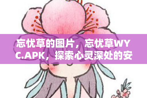 忘忧草的图片，忘忧草WYC.APK，探索心灵深处的安宁之地