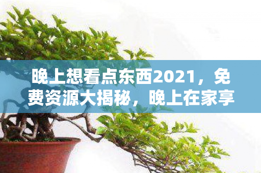 晚上想看点东西2021，免费资源大揭秘，晚上在家享受无尽的精神盛宴