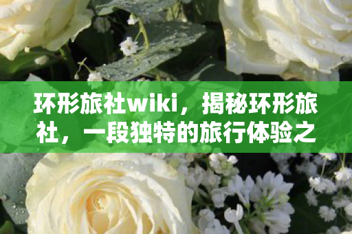 环形旅社wiki，揭秘环形旅社，一段独特的旅行体验之旅