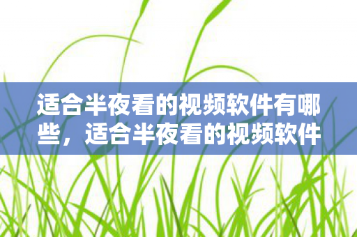 适合半夜看的视频软件有哪些，适合半夜看的视频软件推荐