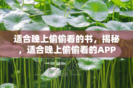 适合晚上偷偷看的书，揭秘，适合晚上偷偷看的APP