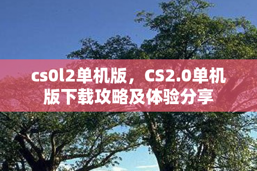 cs0l2单机版，CS2.0单机版下载攻略及体验分享