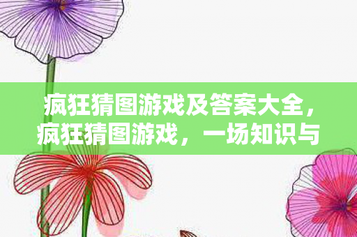 疯狂猜图游戏及答案大全，疯狂猜图游戏，一场知识与乐趣的完美结合